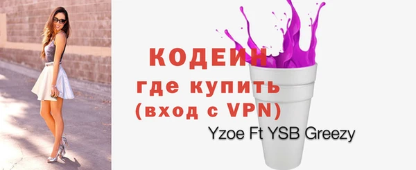 дурь Вяземский