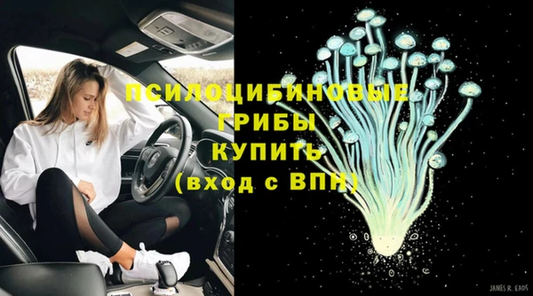 дурь Вяземский