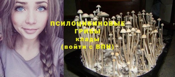 дурь Вяземский