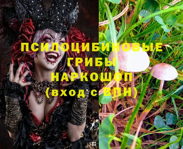 прущая мука Вязники
