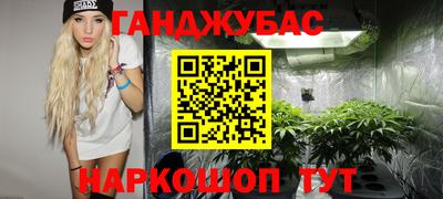 крисы Будённовск