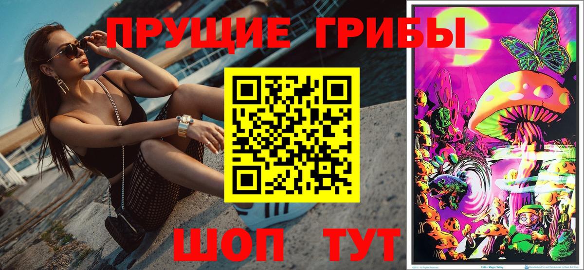 Псилоцибиновые грибы Psilocybe Дедовск