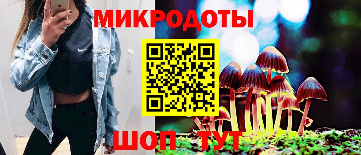 А ПВП Дедовск