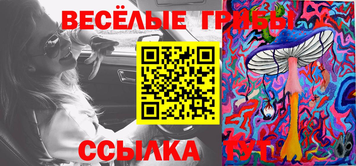 Псилоцибиновые грибы Cubensis  Дедовск 